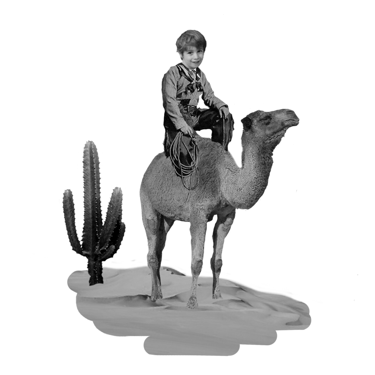 illustration-coybow