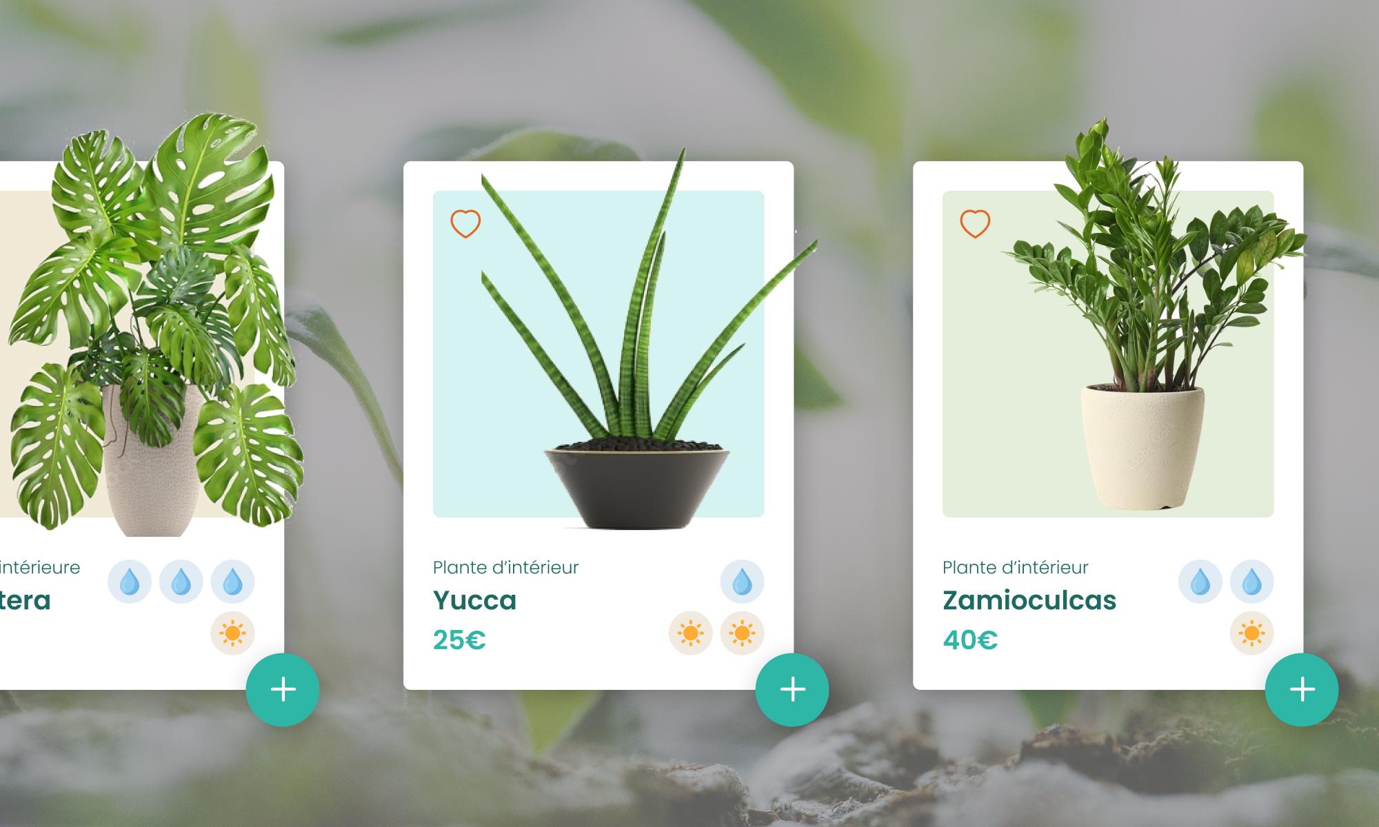 web UI design ecran plante myfirstjungle